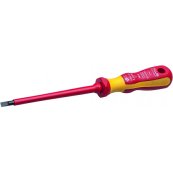 Skruetrkker 0,8x4,0x100